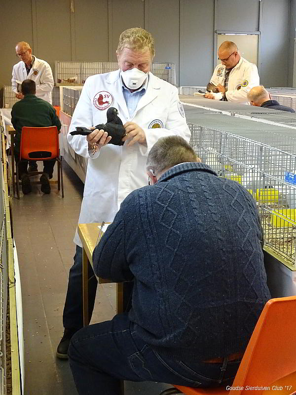 De Keuring Clubshow 2017