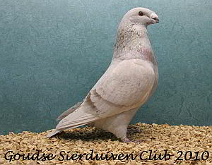 winnaar clubshow 2010