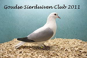 winnaar clubshow 2011